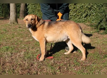 Kairo - möchte einfach nur genießen