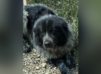 Olivia - mit sanften Schritten nach vorn