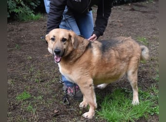 Kairo - möchte einfach nur genießen