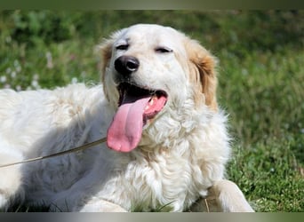 Kastore - Die Welt erkunden!