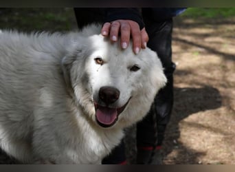 Florenz - bereit für das Abenteuer Leben