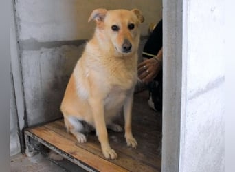 Addison - lange sitzen sie schon da und haben es schwer