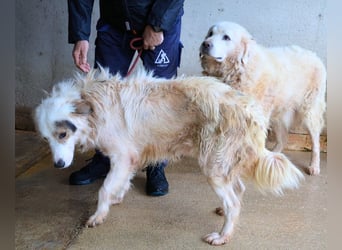 Bailoch - Zeig mir doch bitte...