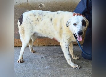 Arunny - aller guten Dinge sind drei