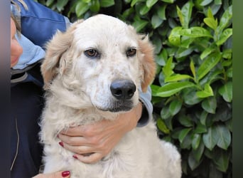 Kastore - Die Welt erkunden!