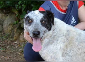 Medwin - Wo ist denn nun das wahre Leben?