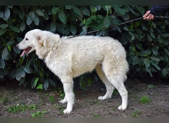 Florenz - bereit für das Abenteuer Leben