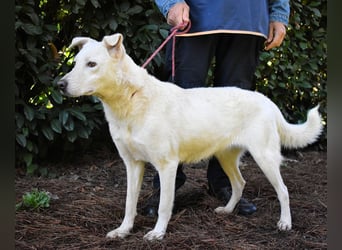 Dafnielle - Zukunft gesucht