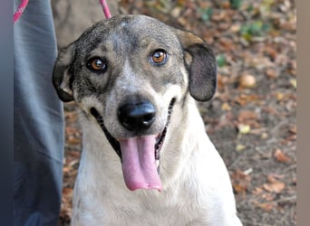 Helder - spricht für sich