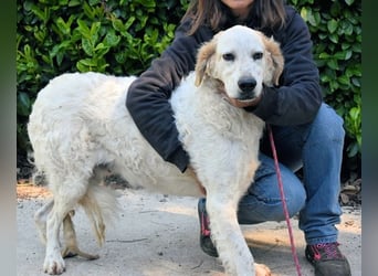 Kastore - Die Welt erkunden!