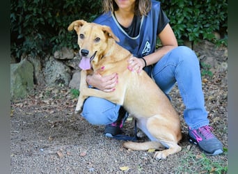 Lilyrose - als kleine Muschel ins Glück!