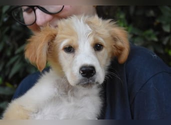 Marula - ...und Mama konnte es dir nicht zeigen