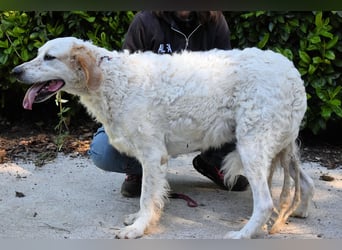 Kastore - Die Welt erkunden!