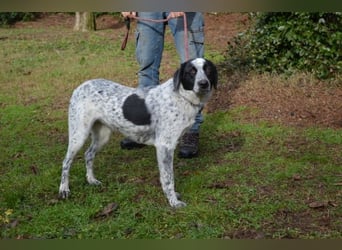 Flicka - möchte noch viel erleben