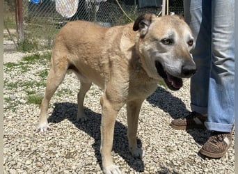 Plugh - Opa Plugh möchte die Welt - und Sie! kennenlernen