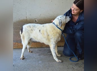 Arunny - aller guten Dinge sind drei