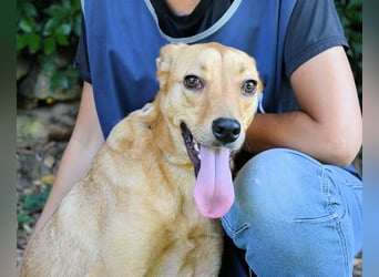 Lilyrose - als kleine Muschel ins Glück!