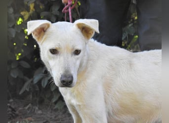 Dafnielle - Zukunft gesucht