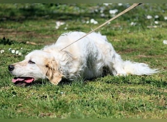 Kastore - Die Welt erkunden!