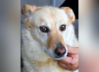 Addison - lange sitzen sie schon da und haben es schwer