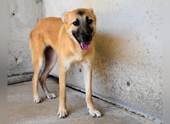 Olympia - "Und wenn sie nicht weg sind....