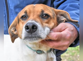 Kamyll - Findet er Sie...