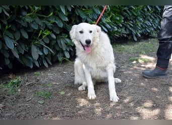 Franky - bereit für das Abenteuer Leben