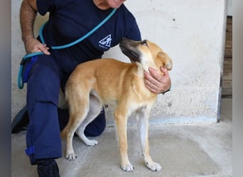 Osita - "Und wenn sie nicht weg sind.....