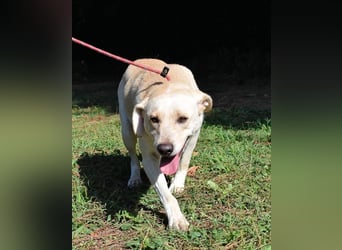 Hughie - macht ein Freundschaftsangebot