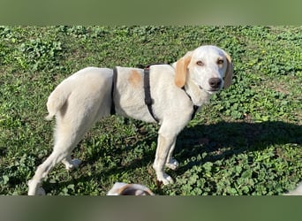 Deddy -  Mit neugierigen Pfoten ins Leben