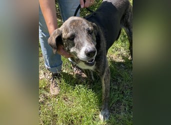 Lola - Das Herz hat seine Gründe