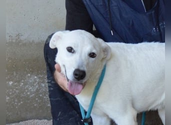 Dafnielle - Zukunft gesucht