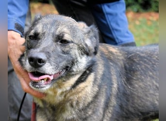 Silvana - im Eilschritt nach Hause?