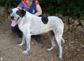 Medwin - Wo ist denn nun das wahre Leben?