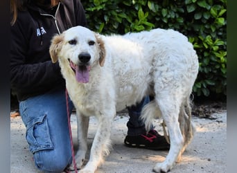 Kastore - Die Welt erkunden!