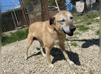 Plugh - Opa Plugh möchte die Welt - und Sie! kennenlernen