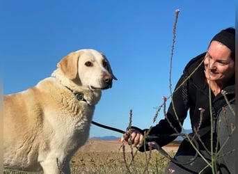 Patty - Vorsichtig auf den Pfoten, groß im Herzen