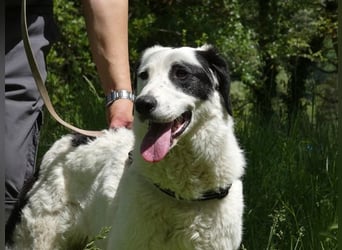 Marni - Bereit für ihr eigenes kleines Glück