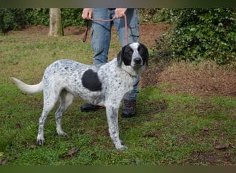 Flicka - möchte noch viel erleben