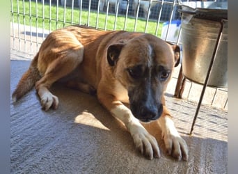 Sunitha - Drei Leben. Drei Chancen.