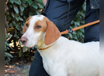 Samarie - Abenteuerlust und Kuschelzeit