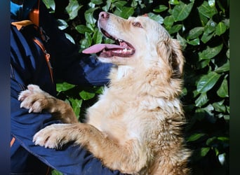 Rodman - läuft sich die Seele wund