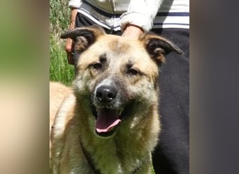 Life - Life will mehr vom Leben - und das zeigt er deutlich!