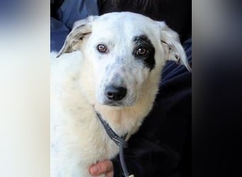 Arunny - aller guten Dinge sind drei