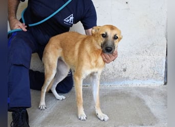 Osita - "Und wenn sie nicht weg sind.....