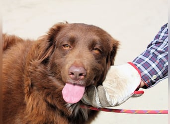 Beckey - Berufswunsch Prinzessin