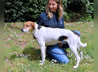 Kamyll - Findet er Sie...