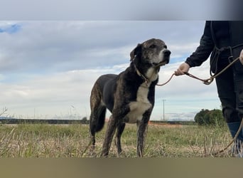 Lola - Das Herz hat seine Gründe