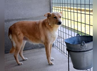 Ariana - lange sitzen sie schon da und haben es schwer