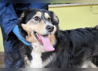 Oliverio - ohne Anklage hinter Gittern